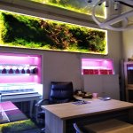Kirayə (aylıq) 3 otaqlı Ofis, 28 May metrosu, Nəsimi rayonu 1