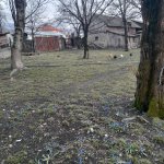 Satılır Torpaq Qəbələ 17