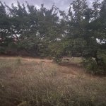 Satılır Torpaq, Novxanı, Abşeron rayonu 8