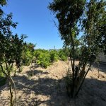 Продажа Участок, Шювалан, Хязяр район 4