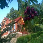 Kirayə (günlük) 2 otaqlı Həyət evi/villa Quba 16