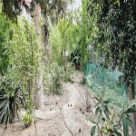 Satılır 4 otaqlı Həyət evi/villa, Lökbatan qəs., Qaradağ rayonu 31