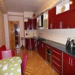 Kirayə (aylıq) 3 otaqlı Yeni Tikili, Nizami metrosu, Nəsimi rayonu 14