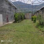 Kirayə (günlük) 3 otaqlı Həyət evi/villa Qax 1