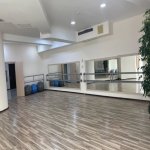 Kirayə (günlük) 2 otaqlı Yeni Tikili, 28 May metrosu, Nəsimi rayonu 3