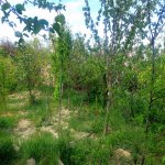 Продажа 9 комнат Дача, м. 20 Января метро, пос. Сулутяпя, Бинагадинский р-н район 9