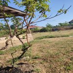 Satılır 2 otaqlı Həyət evi/villa Lənkəran 4