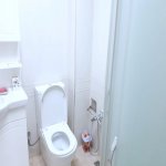 Kirayə (aylıq) 2 otaqlı Yeni Tikili, Gənclik metrosu, Nəsimi rayonu 12