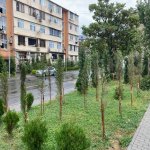Kirayə (aylıq) 2 otaqlı Köhnə Tikili, Qara Qarayev metrosu, Nizami rayonu 1