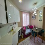 Kirayə (aylıq) 2 otaqlı Yeni Tikili, Memar Əcəmi metrosu, Nəsimi rayonu 10