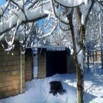 Kirayə (günlük) 3 otaqlı Bağ evi Qusar 5