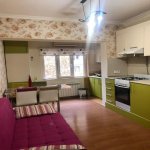 Kirayə (aylıq) 2 otaqlı Köhnə Tikili, Gənclik metrosu, Nərimanov rayonu 3