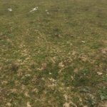 Продажа Участок Гябяля 3