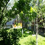 Аренда 4 комнат Дома/Виллы Гябяля 8