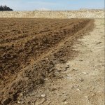Продажа Участок, пос. Нардаран, Сабунчу район 4
