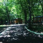 Kirayə (günlük) 5 otaqlı Bağ evi Quba 11