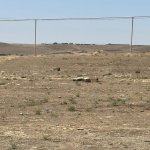 Satılır Torpaq, Abşeron rayonu 3