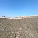 Satılır Torpaq, Novxanı, Abşeron rayonu 5
