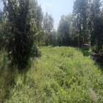 Продажа Участок Гябяля 4