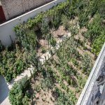 Satılır 3 otaqlı Həyət evi/villa, Ramana qəs., Sabunçu rayonu 62