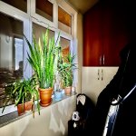 Satılır 2 otaqlı Köhnə Tikili, Azadlıq metrosu, 7-ci mikrorayon, Binəqədi rayonu 9