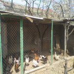 Satılır 3 otaqlı Həyət evi/villa, Fatmayi, Abşeron rayonu 11