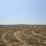 Продажа Участок, Масазыр, Абшерон район 5