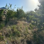 Продажа Участок Шамаха 16