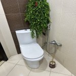 Kirayə (aylıq) 2 otaqlı Yeni Tikili, Gənclik metrosu, Nəsimi rayonu 25