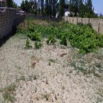 Продажа Участок, Новханы, Абшерон район 8