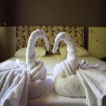 Kirayə (aylıq) 3 otaqlı Həyət evi/villa Qəbələ 6