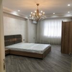 Kirayə (aylıq) 3 otaqlı Yeni Tikili, Gənclik metrosu, Nərimanov rayonu 4