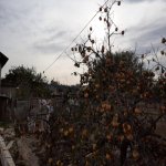 Satılır 5 otaqlı Bağ evi, Goradil, Abşeron rayonu 11