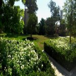 Kirayə (aylıq) 3 otaqlı Köhnə Tikili, 28 May metrosu, Gənclik Mall, Nəsimi rayonu 20