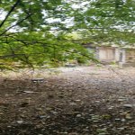 Satılır 3 otaqlı Həyət evi/villa Tərtər 10