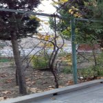 Satılır 6 otaqlı Yeni Tikili, Sabunçu qəs., Sabunçu rayonu 3