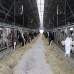 Satılır Obyekt, Fatmayi, Abşeron rayonu 1
