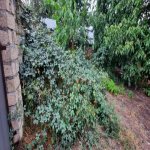 Продажа Участок Гябяля 2