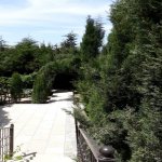 Kirayə (aylıq) 7 otaqlı Bağ evi, Mərdəkan, Xəzər rayonu 18
