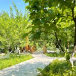 Kirayə (aylıq) Obyekt, Qara Qarayev metrosu, Nizami rayonu 11