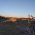 Продажа 4 комнатная Дома/Виллы Имишли 9