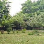 Kirayə (günlük) 3 otaqlı Həyət evi/villa Qəbələ 14