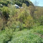 Satılır 3 otaqlı Həyət evi/villa İsmayıllı 5