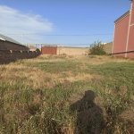 Satılır Torpaq, Hökməli, Abşeron rayonu 4