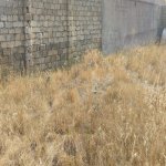 Продажа Участок, пос. Биня, Хязяр район 1