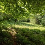 Продажа Участок Исмаиллы 1