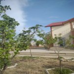 Kirayə (aylıq) 5 otaqlı Bağ evi, Nardaran qəs., Sabunçu rayonu 1