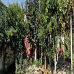 Satılır 4 otaqlı Həyət evi/villa, Avtovağzal metrosu, Biləcəri qəs., Binəqədi rayonu 14