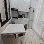 Kirayə (aylıq) 2 otaqlı Yeni Tikili, Gənclik metrosu, Heydər Əliyev Mərkəzi, Nərimanov rayonu 8