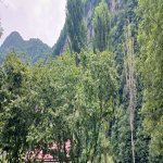 Kirayə (günlük) 4 otaqlı Həyət evi/villa Qax 5